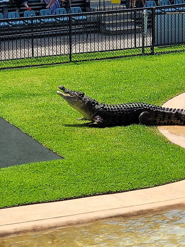 Australia Zoo Wildlife Hospital 3