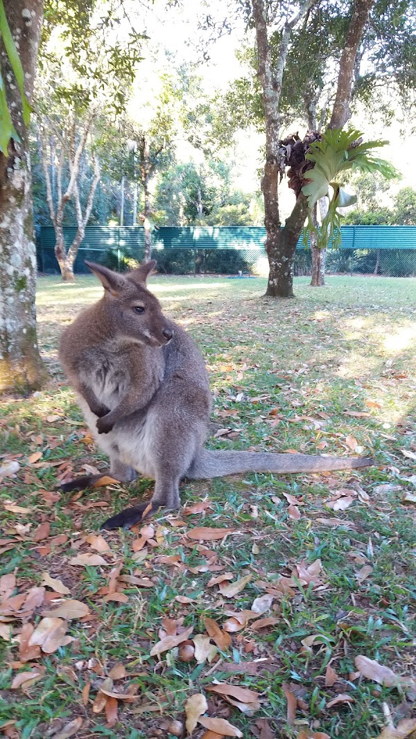 Australia Zoo Wildlife Hospital 2