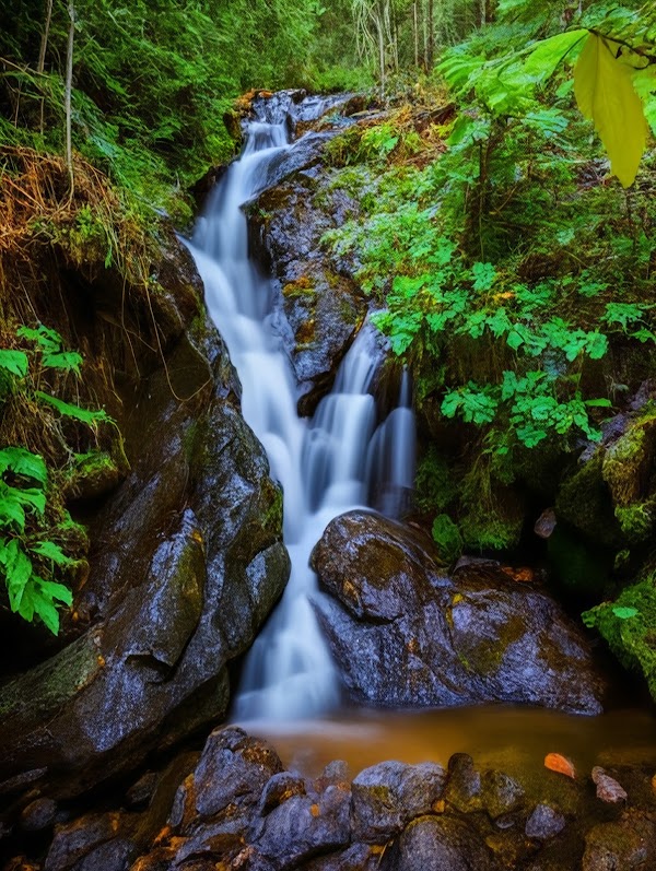 Lehigh Gorge State Park - Rockport Access 4