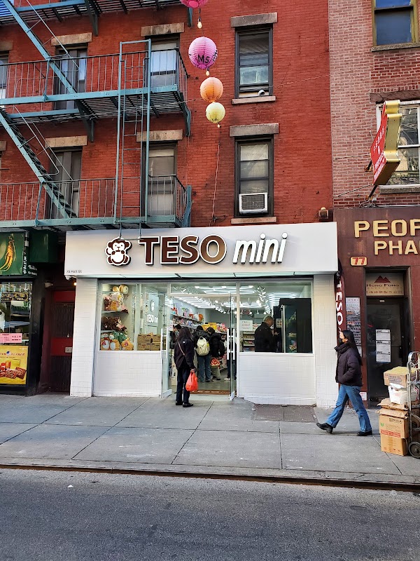 TESOmini