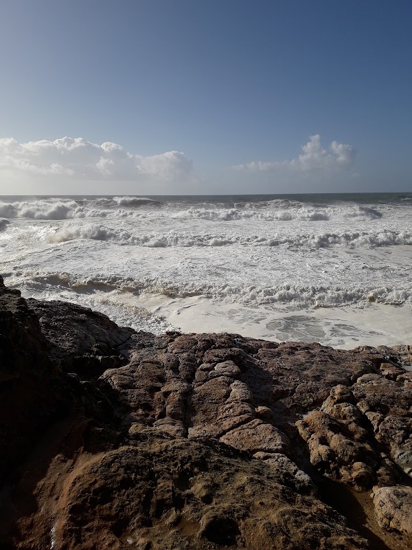 North Beach 3