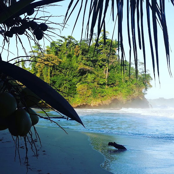 Bastimentos Island 3