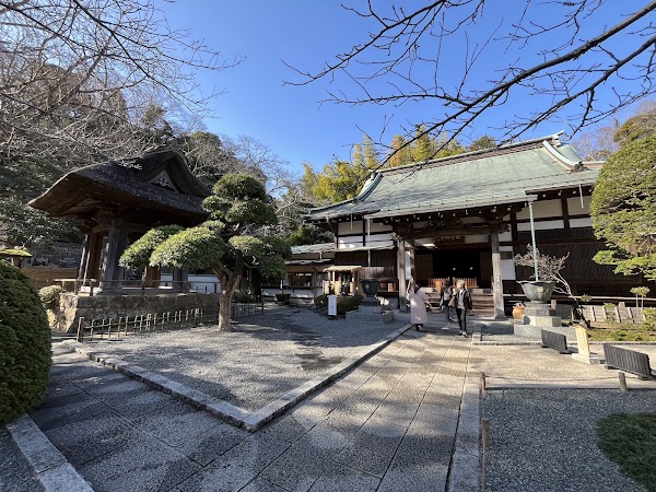 Hokokuji Bamboo Forest 4