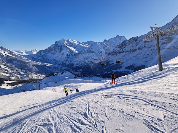 Jungfrau Ski Region - Kleine Scheidegg - Männlichen - Wengen 5