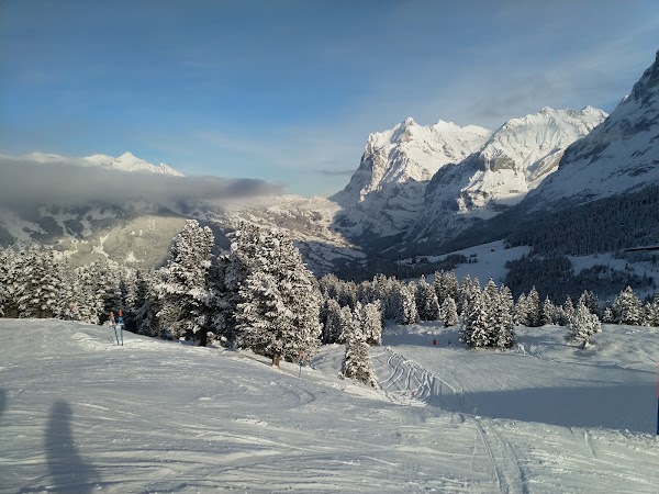 Jungfrau Ski Region - Kleine Scheidegg - Männlichen - Wengen 4