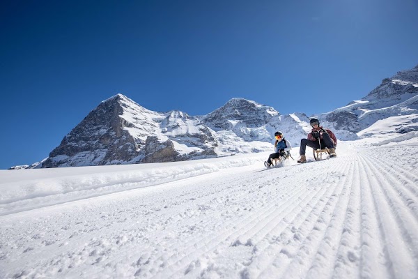 Jungfrau Ski Region - Kleine Scheidegg - Männlichen - Wengen 3