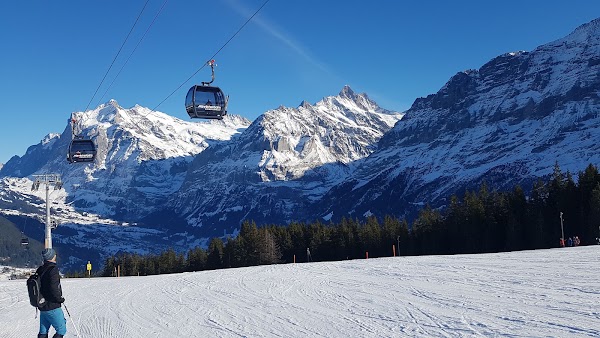 Jungfrau Ski Region - Kleine Scheidegg - Männlichen - Wengen 2