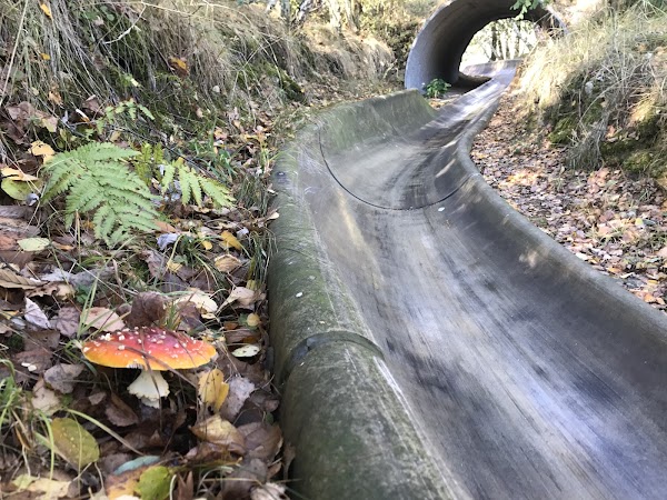 Bratislava Bobsleigh