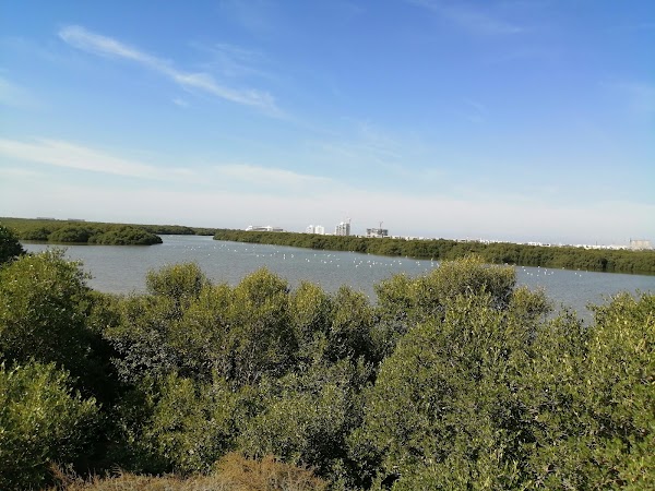 Al Zorah Natural Reserve 5