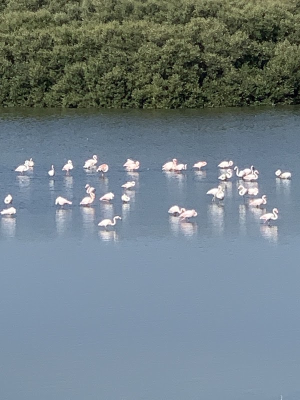 Al Zorah Natural Reserve 3