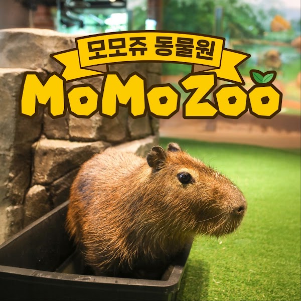 Momo Zoo 1