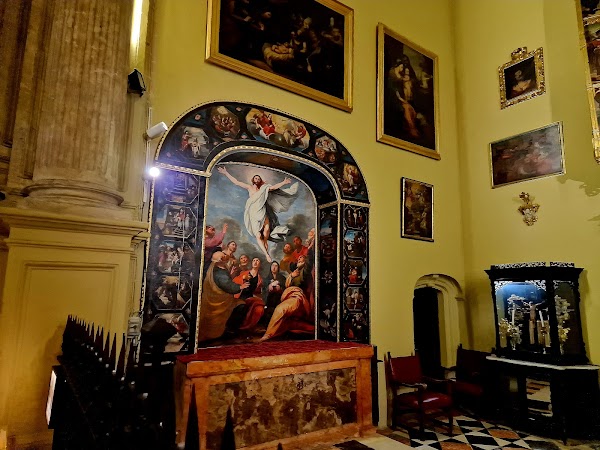 Cathedral of Málaga 2