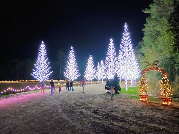 The Christmas Village 5