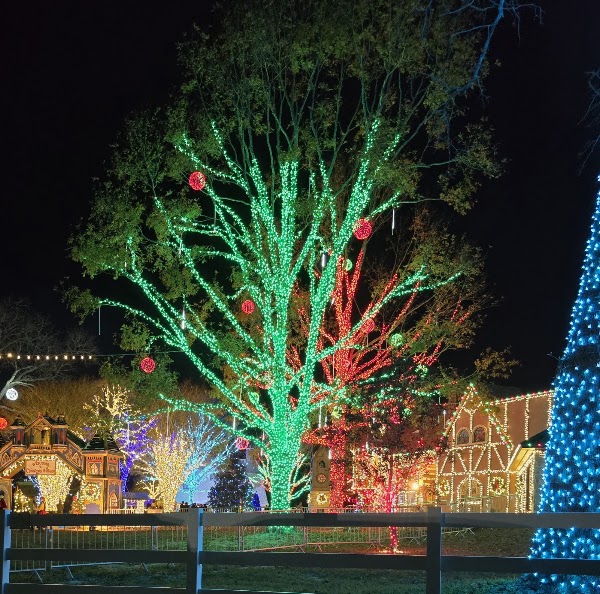 The Christmas Village 4