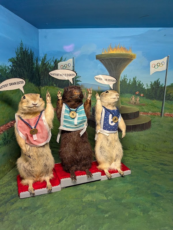 World Famous Gopher Hole Museum 1