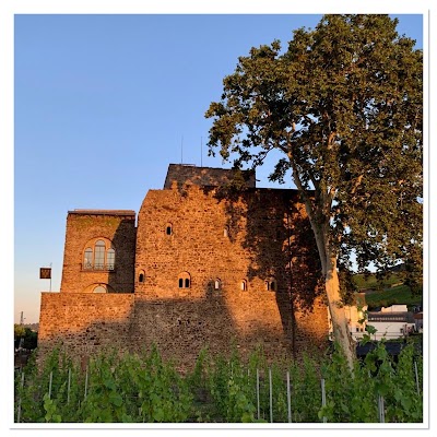 Brömserburg