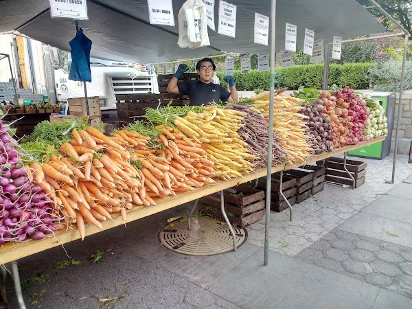 Union Square Greenmarket 5
