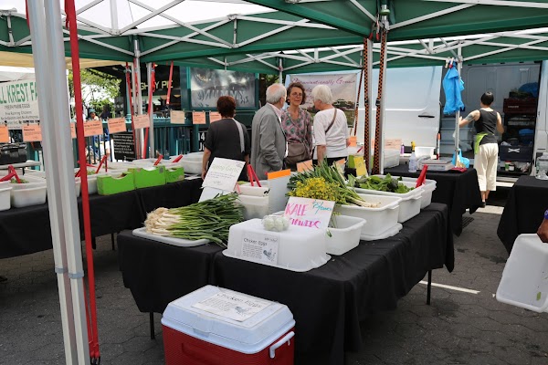 Union Square Greenmarket 3