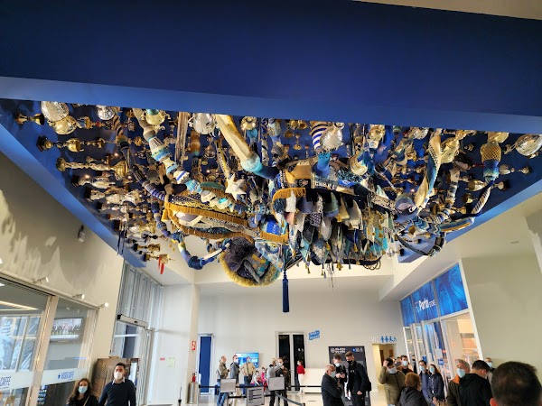 Estádio do Dragão 5