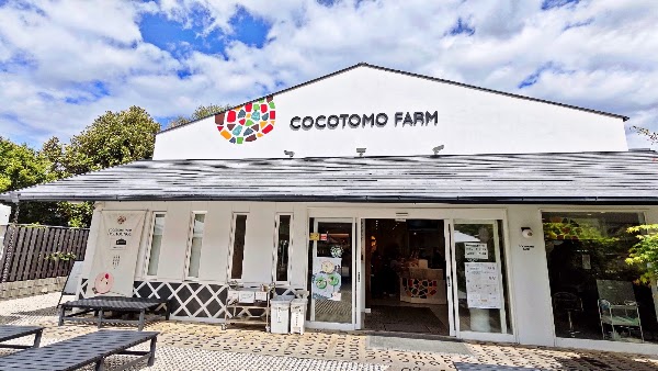Cocotomo Baumkuchen 1