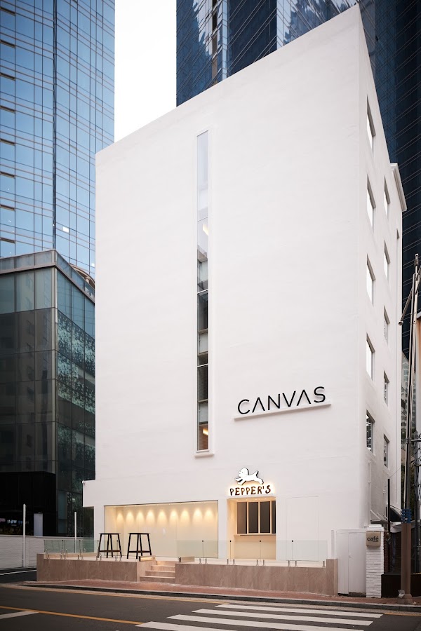 CANVAS WHITE Guesthouse 3