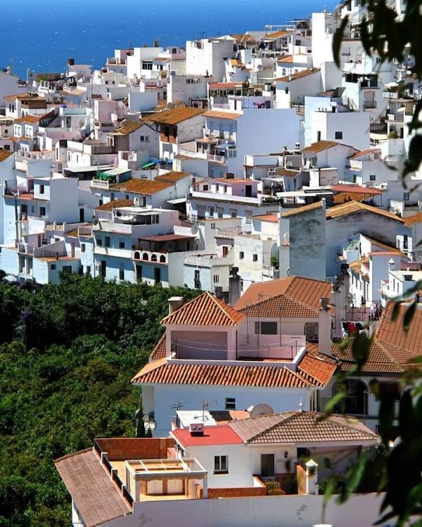 Torrox 1