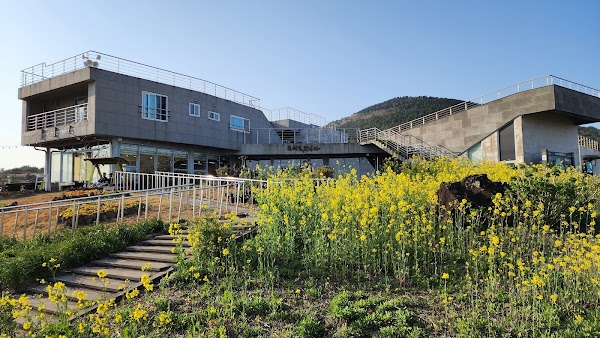 Rape Flower Plaza 4