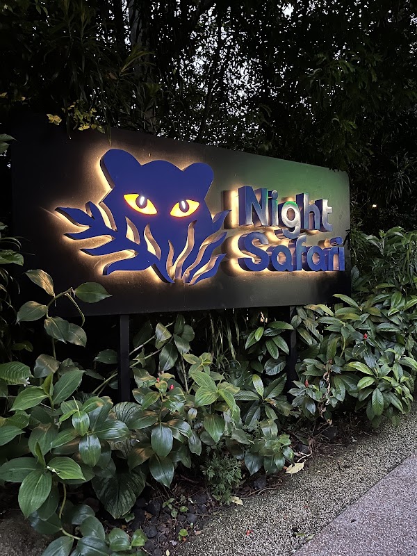 Night Safari 5