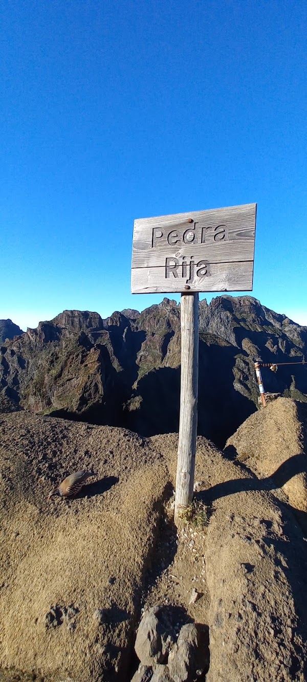 Miradouro Pedra Rija 3
