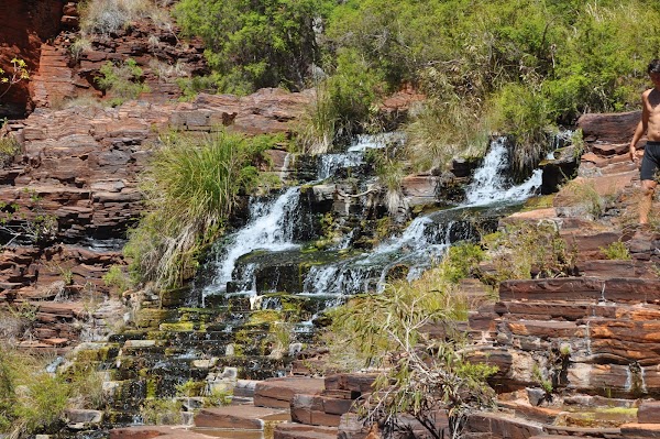 Fortescue Falls (Jubula) 5