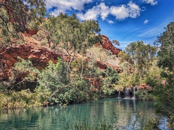 Fortescue Falls (Jubula) 3