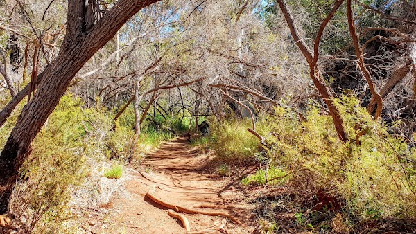 Fortescue Falls (Jubula) 2
