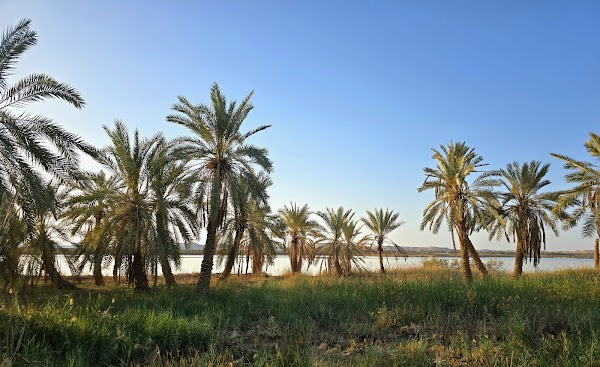 Siwa Lake 4
