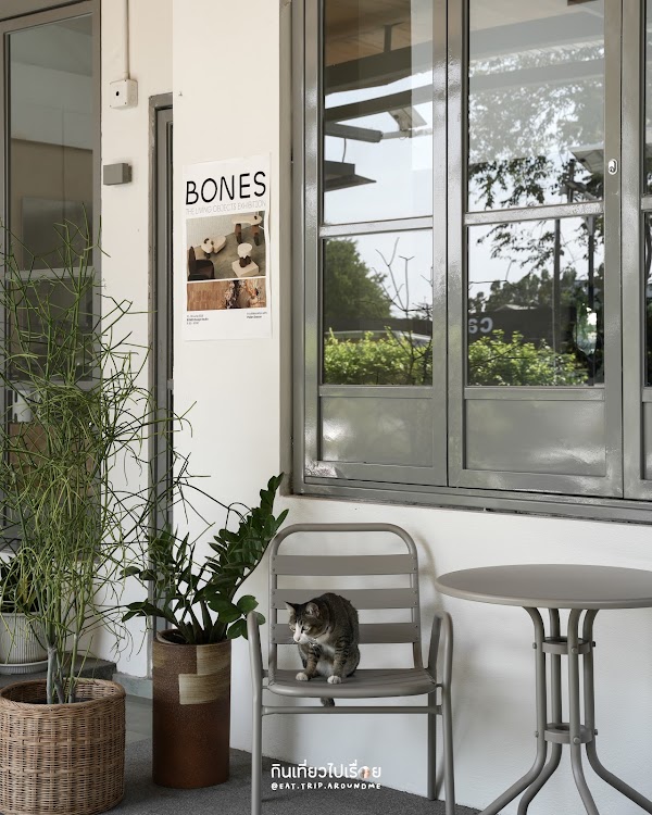Bones design studio