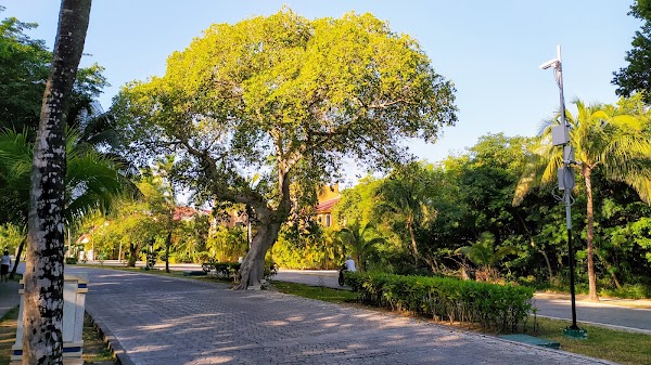 Paseo Xaman - Ha 3
