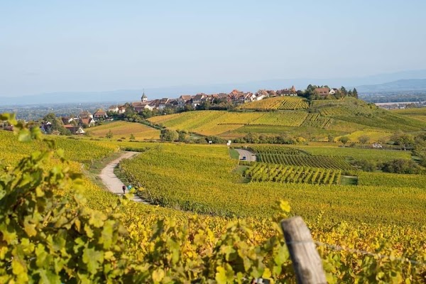 Épernay 4