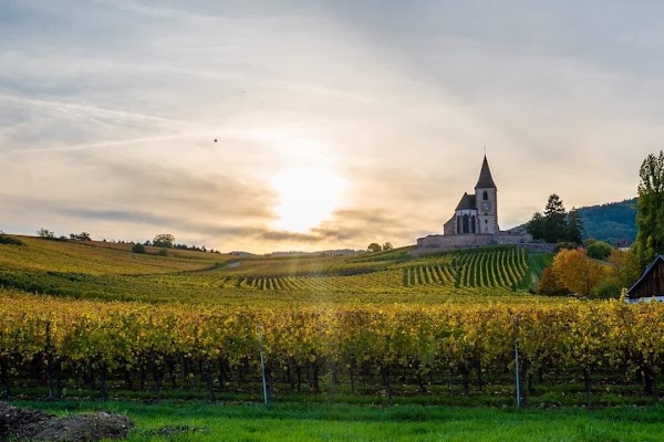 Épernay 2
