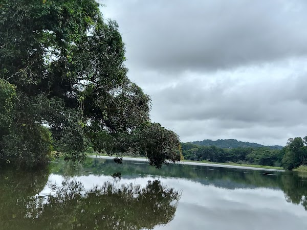 Comunidad Embera Quera 2