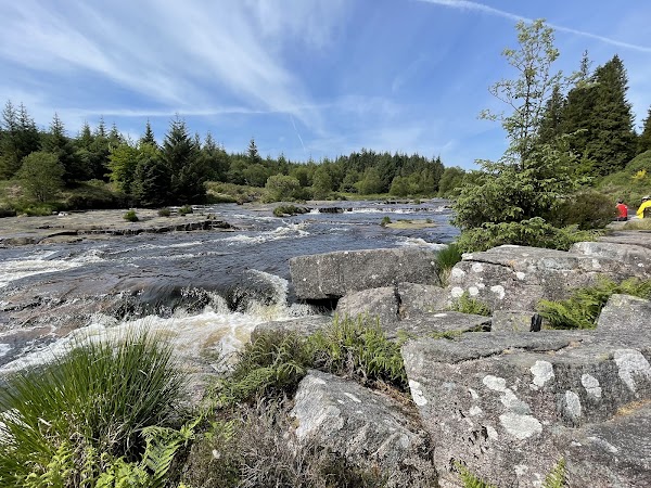 Galloway Forest Park 4