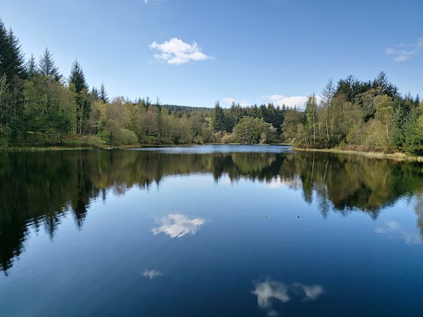 Galloway Forest Park 3