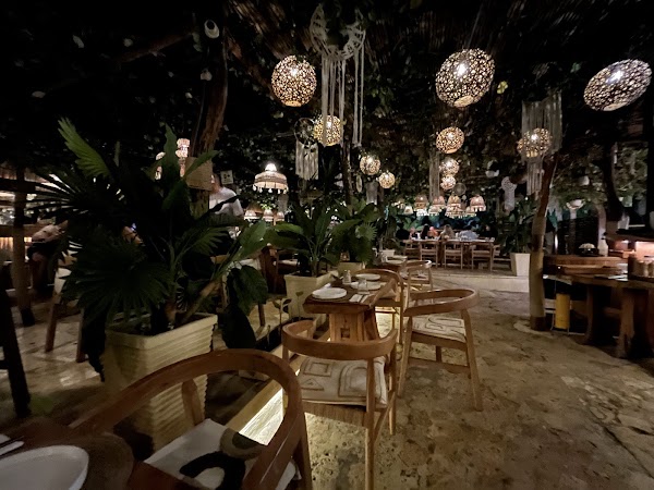 MORENA LOUNGE BEACH/ SUNSET/ BY THE SEA/ LIVE MUSIC 2