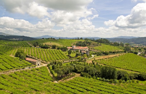 Bodega Pazo Baion_ Enoturismo Rías Baixas