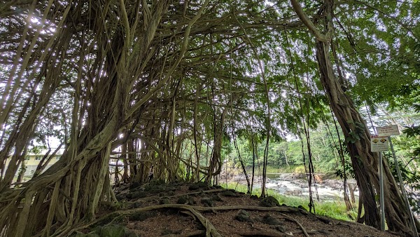 Rainbow Falls 4