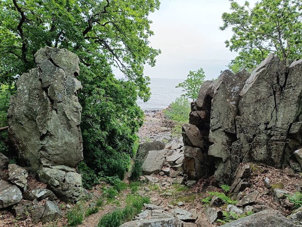 Stenshuvud's National Park Beach 3