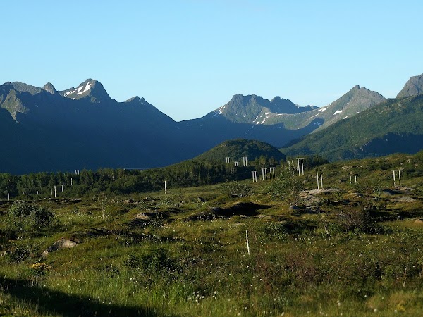 Gimsøy 2