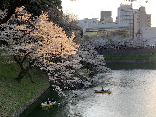 Shakujii River 5