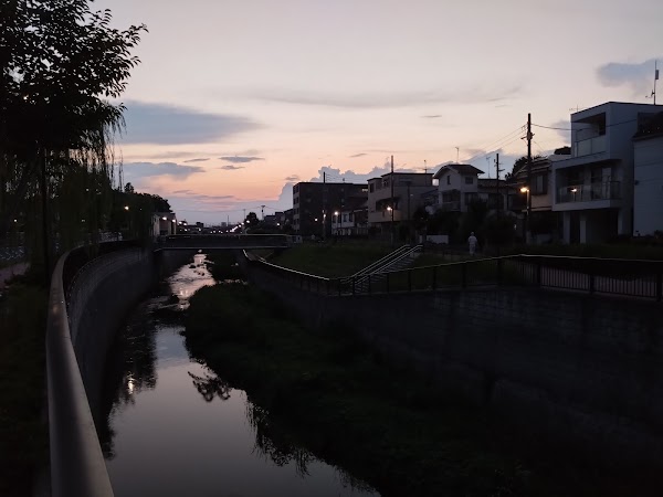 Shakujii River 4