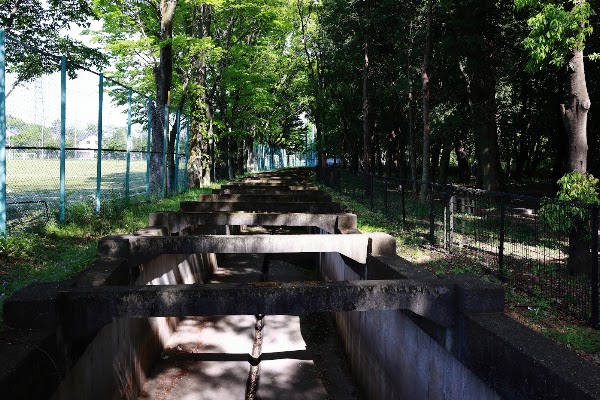 Shakujii River 3