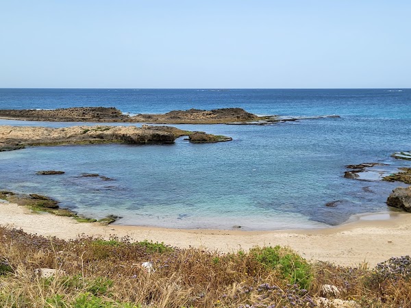 Israel 14