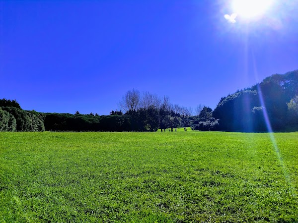 Parque da Cidade do Porto 1